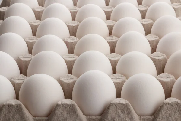 White eggs — Stock Photo, Image