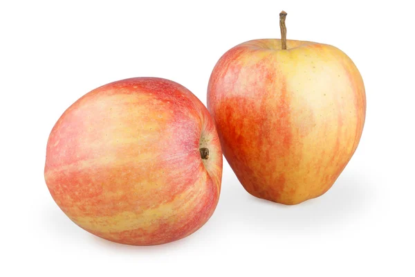 Two apples — Stock Photo, Image