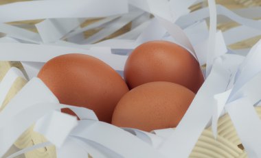 Üç yumurta sepeti üzerine