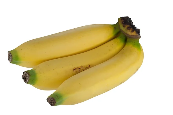 Gros Michel Banana — Stock Photo, Image
