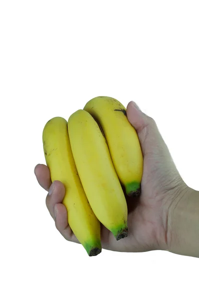 Gros michel bananów w ludzką ręką — Zdjęcie stockowe