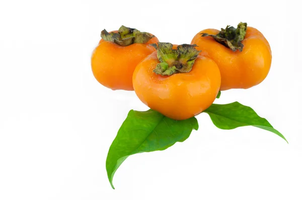 Three persimmon and leaves on white background — Stock Photo, Image