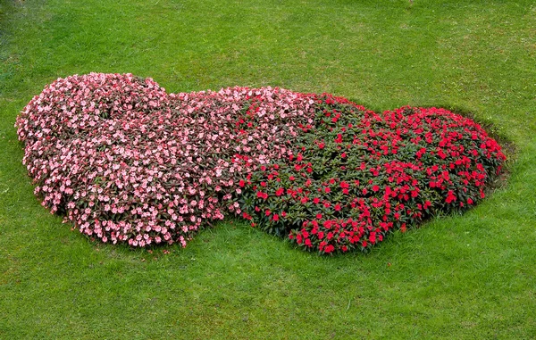 Virágos kert szív alakú — Stock Fotó
