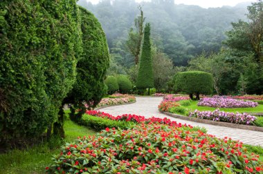 Çiçek Bahçesi ve sis arka plandan Inthanon Milli Parkı