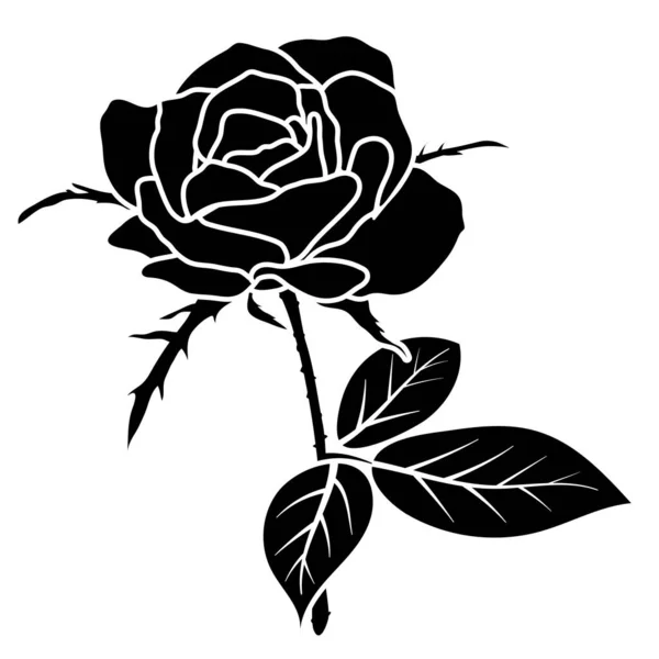 Silhouette Rose Noire Décoration Fleur Vectoriel Illustration Fond — Image vectorielle