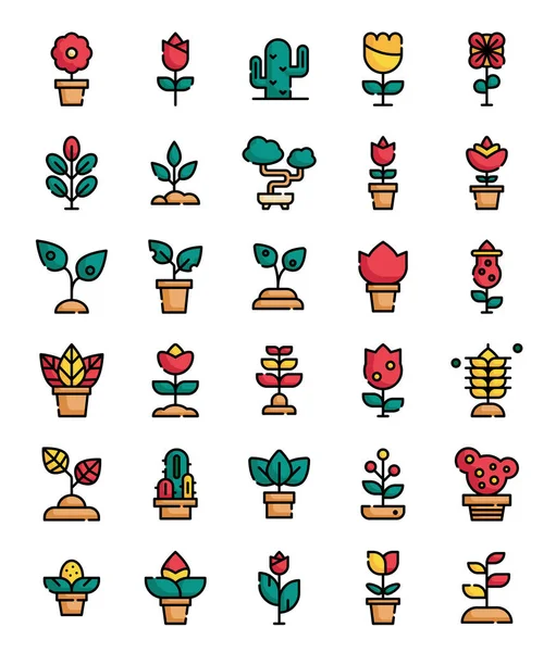 Esquema Lleno Planta Flor Decoración Iconos Conjunto Vector Ilustración — Vector de stock