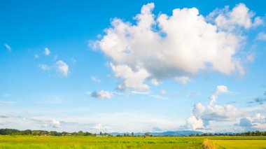 pirinç alan üzerinde bulut