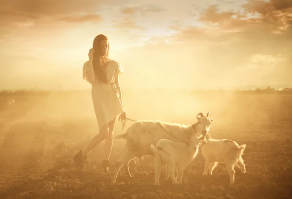 Herder met geiten — Stockfoto