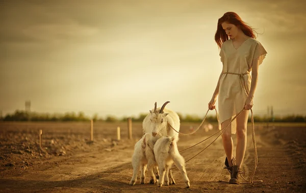 Пастух с козами — стоковое фото