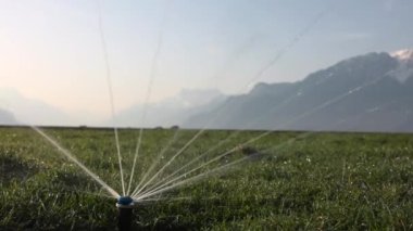 Dağlardaki yeşil çimenleri sulayan sulama sistemi