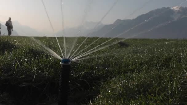 Système d'irrigation arrosage de gazon près de personnes en cours — Video
