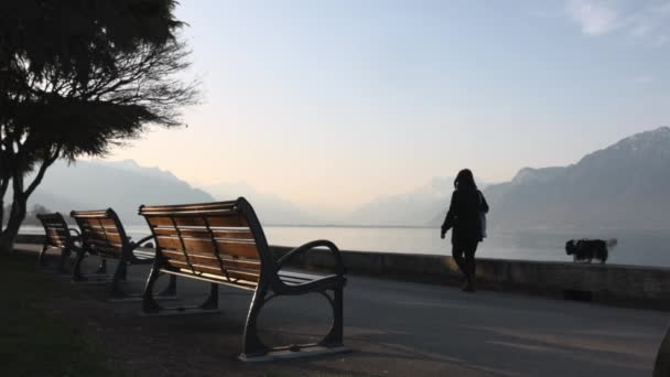 Vrouw wandelend met hond op meer van Genève dijk — Stockvideo