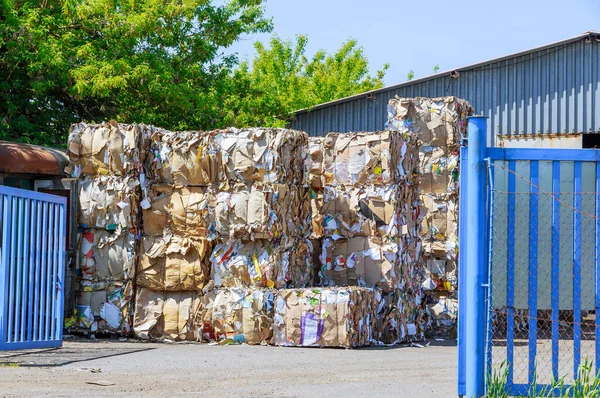 Residuos Balas Papel Una Planta Procesamiento Protección Contra Contaminación Ambiental — Foto de Stock