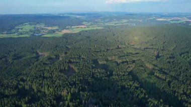 Hava aracı görüntüsü: Yumuşak güneş ışığında bir çam ormanının üzerinden uçmak. Çek Cumhuriyeti 'nde Doğa, 9 kaya.