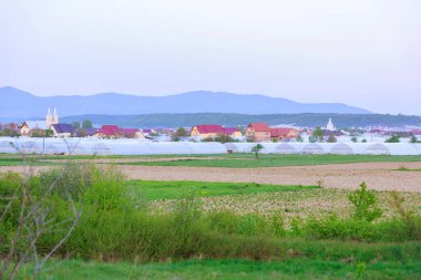Köyün yakınında bir sürü büyük seralar var. Seralarda sebze yetiştiriyor. Tarım.