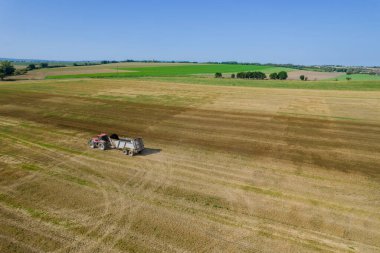 Katı organik gübreler tarlaya bir traktör tarafından getirildi, tarlaya saçılan gübrelerden. Yukarıdan görüntüle.