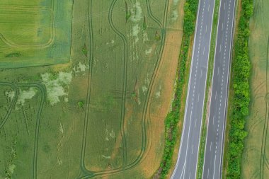 Tarlalar. Yolun yakınındaki buğday tarlaları. Buğday havadan gelir. Tarlada traktör izleri var. Üst Manzara. Kasvetli hava.