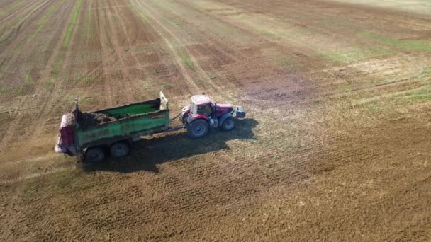 Concime organico. Un trattore con un diffusore per rimorchi diffonde sterco di mucca in un campo. Vista dal drone. — Video Stock