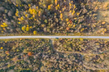 Dağlarda yol. Sonbahar ormanı, yukarıdan manzara. Çok renkli ağaçlar ve Noel ağaçları. Bir sürü sarı ağaç..