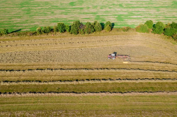 Vista aérea de un tractor que recoge heno en hileras con un rastrillo de disco. Concepto agronegocio — Foto de Stock