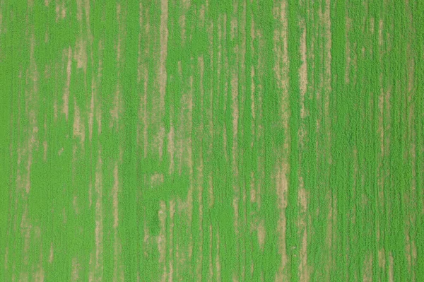 Grønt felt fra en høyde. Grønn struktur for designerbakgrunn. Sted for melding. Mykt fokus. – stockfoto