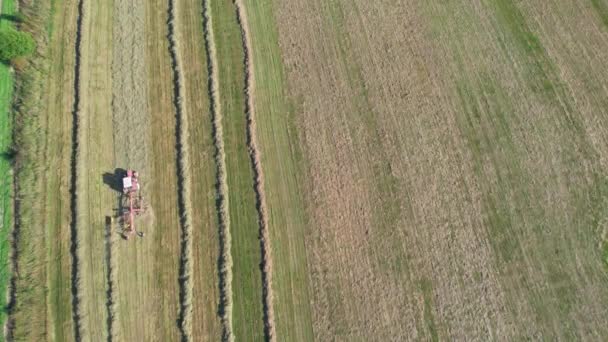 O trator cria rolos de grama seca, para a reunião subsequente de feno em fardos. Preparação de alimentos para vacas. — Vídeo de Stock