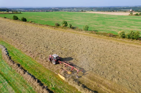 Remo del cultivo de ensilado segado por un tractor en líneas. La preparación del forraje para el ganado para el invierno. Vista superior. — Foto de Stock