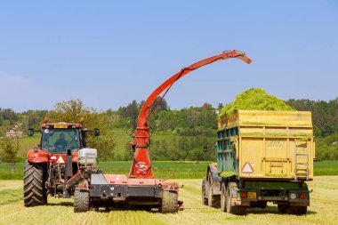 2 Haziran 2021 Skutech, Çek Cumhuriyeti: Tarlada tarım makineleri, yiyecek arama, hasat. İnekleri besle.