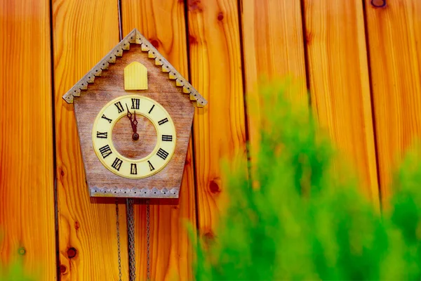 Cuckoo clock adorns the building with its ancient appearance. — Stock Photo, Image