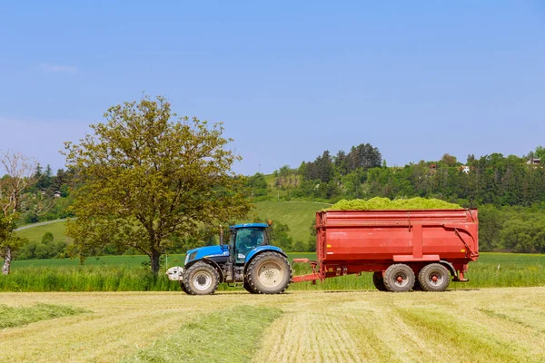 2 Juni 2021 Skutech, Republik Ceko: Sebuah traktor biru di trailer merah membawa rumput dari lapangan. — Stok Foto