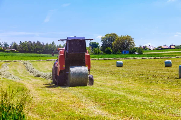 Çim biçtikten sonra, kırmızı bir traktör büyük bir tarladaki balyalarda saman toplar..