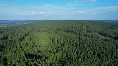 Kozalaklı orman manzarası. Çek Cumhuriyeti 'nin dağlarındaki çam ağaçlarının tepelerinde 9 kaya uçuyor..
