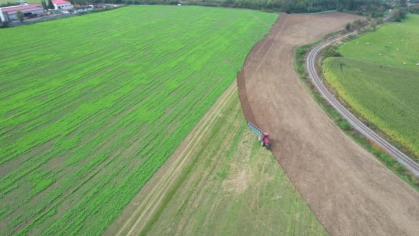 A red tractor plows the land on which the green manure is sown. View from above. — Stock Video