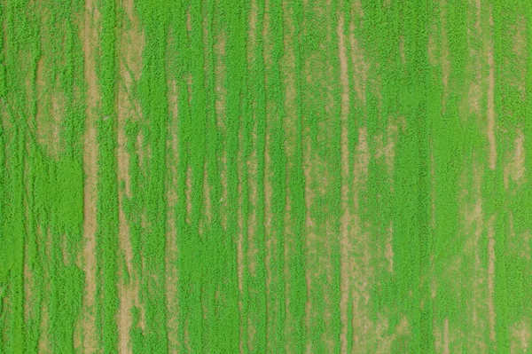 Green field from a height. Texture for designer background. A place to write text. — Stock Photo, Image