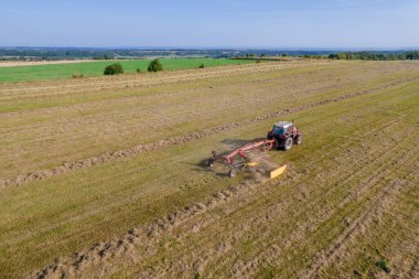 Disk tırmığıyla sıra sıra saman toplayan bir traktörün hava görüntüsü. Çiftçi yaz mevsiminde sığır yemi depoluyor. Tarım sektörü kavramı.
