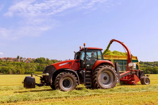 Agricultural Machinery Field Forage Harvesting Harvesting Feed Cows Winter — Zdjęcie stockowe