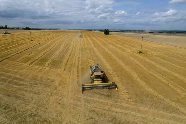 Sarı Bir Hasat Makinası Mavi Gökyüzünün Altındaki Bir Tarlada Buğday — Stok fotoğraf