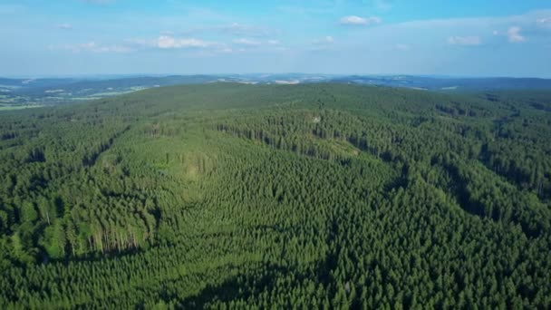 Vista della foresta di conifere da una vista a volo d'uccello. Terreno montagnoso — Video Stock