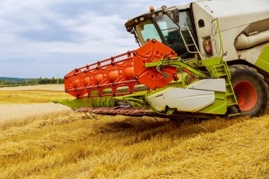 Hasattan sonra, tarladaki sakal üzerinde birleşiyorlar. Modern ekipmanlar sahada çalışıyor..