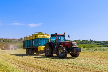 2 Haziran 2021 Skutec, Çek Cumhuriyeti: Mavi büyük bir römorktaki kırmızı bir traktör çimenleri tarladan taşıyor. Tarımda tarım işi.