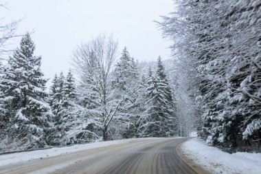 Kaygan bir yoldaki arabanın ön camından bak. Karla kaplı ağaçlar ve yol kenarları. Güzel kış.