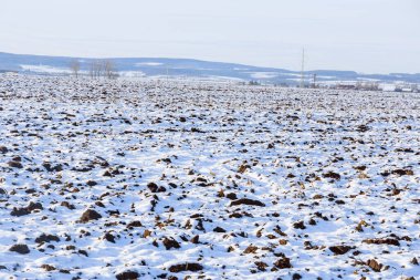 Sürülmüş bir tarla karla kaplıdır. Tarlanın yakınında ağaçlar ve elektrik direkleri var. Dağlık arazi.