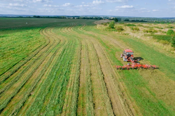 A red tractor rakes a mown grass to dry. Modern equipment on the field. View from above. Preparations of fodder grasses for hay.