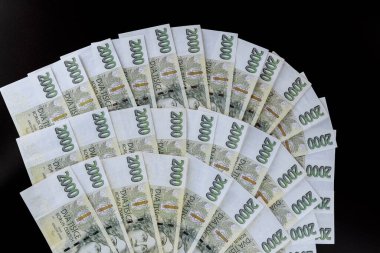 Çek tacı, siyah arka planda iki bin dolar değerinde. Üst görünüm.