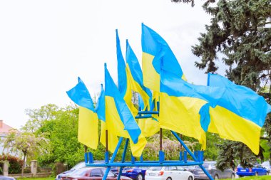 Rüzgarlı bir günde yeşil ağaçların arka planında Ukrayna bayrakları. Ukrayna 'nın devlet sembolü.