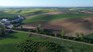 Dalgalı tarlalarda buğday ve kolza tohumu ile güzel bir manzara. Güney Moravya, Çek Cumhuriyeti 'nde Moravya Tuscany. Avrupa. Yukarıdan görüntüle.