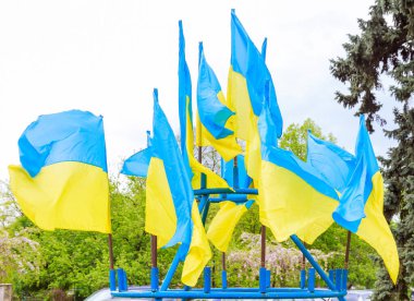 Rüzgarlı bir günde mavi gökyüzünün arka planında Ukrayna bayrakları. Ukrayna 'nın devlet sembolü.