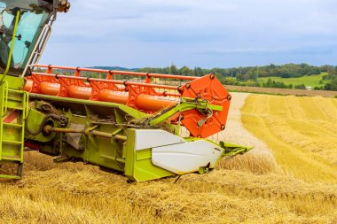 Altın buğdayın yakınındaki bir tarlada hasatçı. Buğday hasadı.
