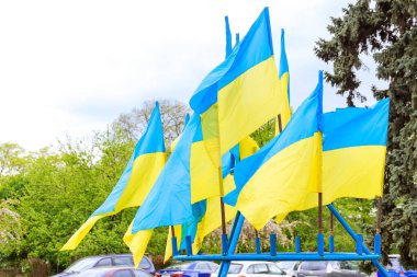 Rüzgarlı bir günde yeşil ağaçların arka planında Ukrayna bayrakları. Ukrayna 'nın devlet sembolü.