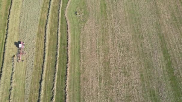 Trattore Rastrella Erba Secca Nei Pozzi Del Campo Raccolta Insilati — Video Stock